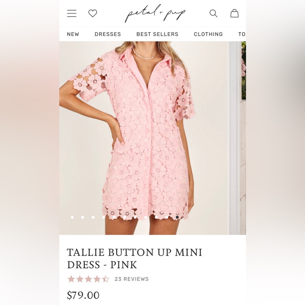Pink Lace Dress